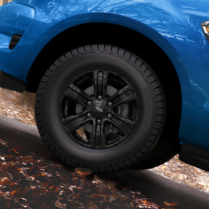 Disk iz lahke zlitine 17" s 6 kraki, črne barve